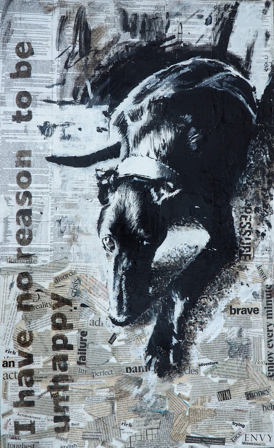 Black Dog