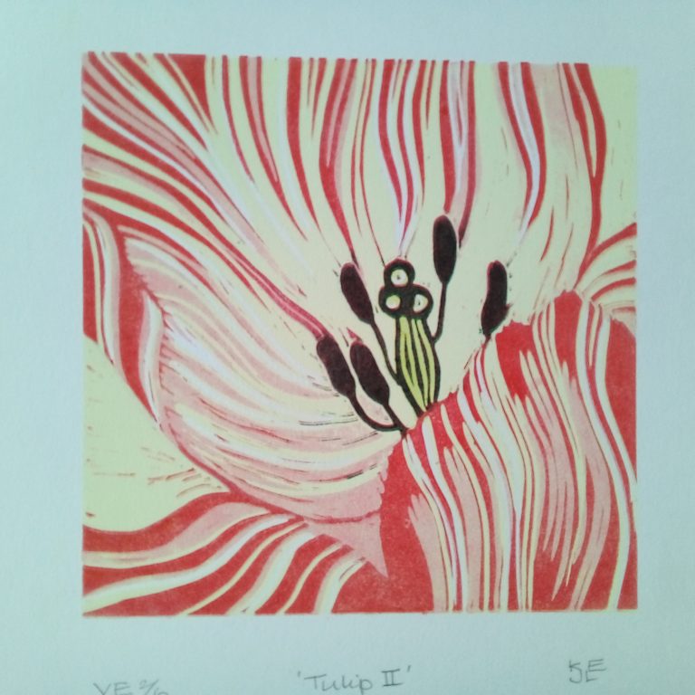 Tulip II